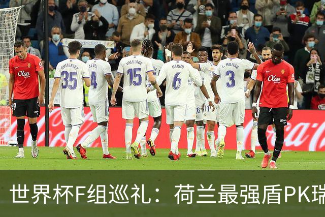 世界杯F组巡礼：荷兰最强盾PK瑞典犀利刀 日本短板明显